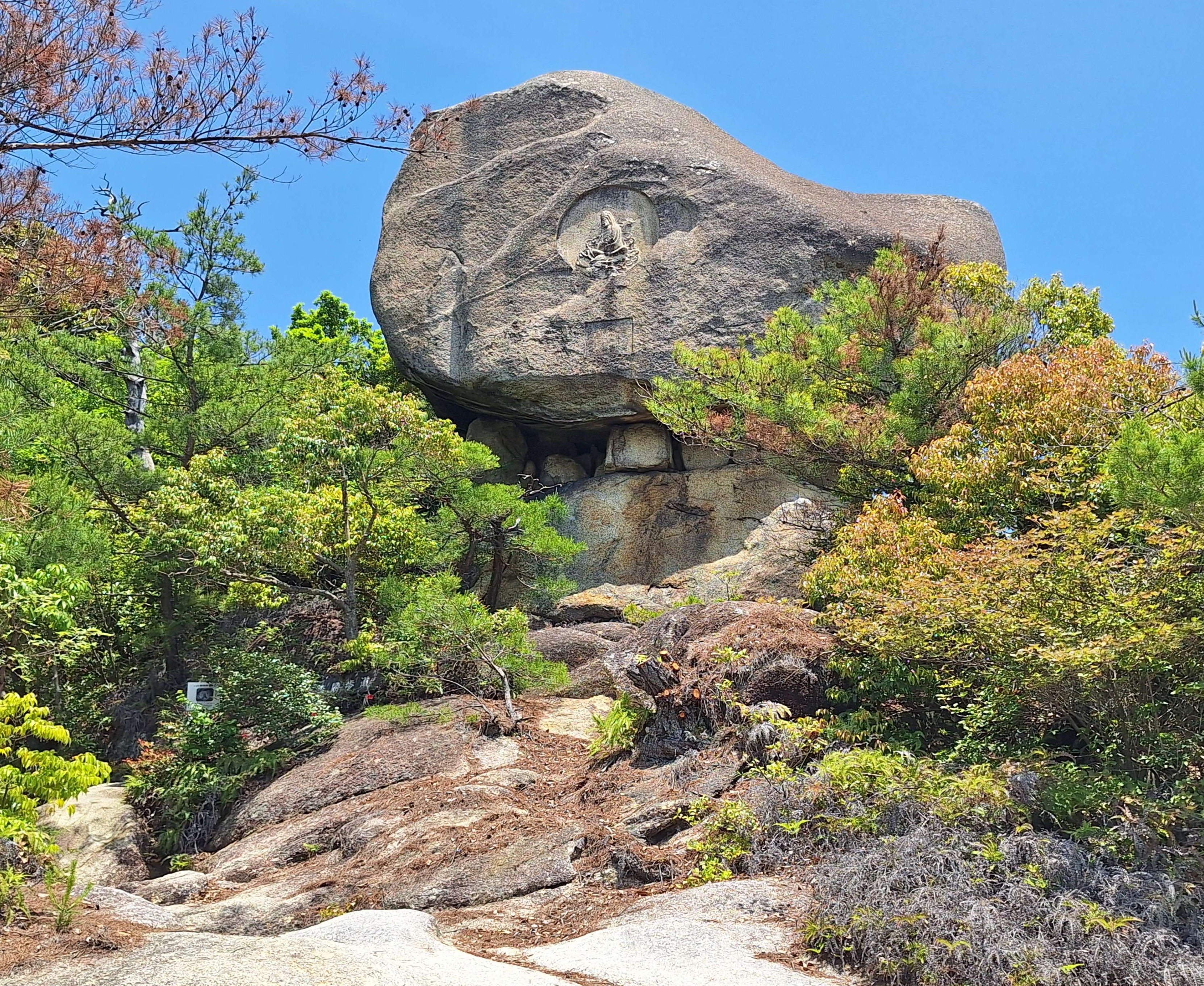 画像